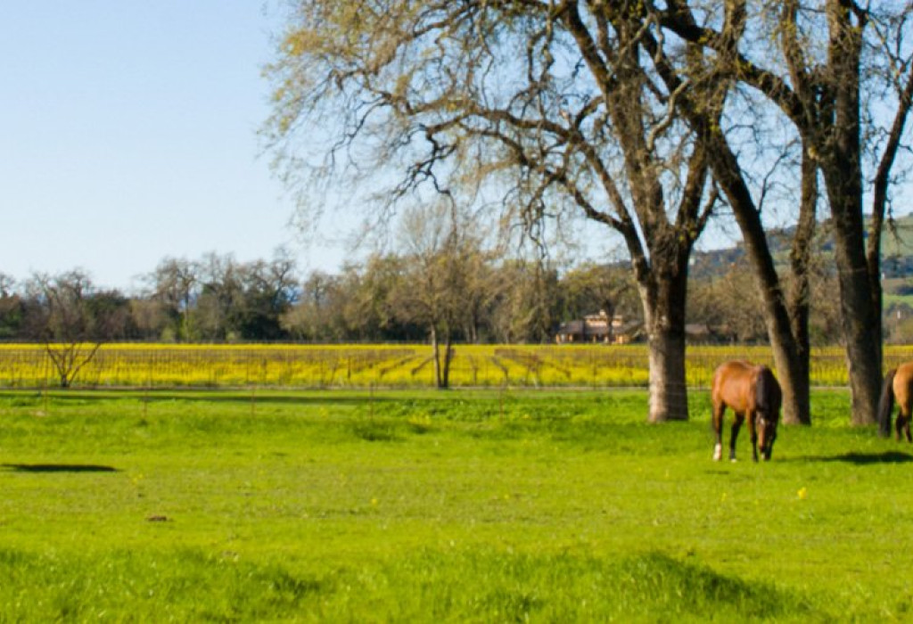 Geyserville Public Adjusters