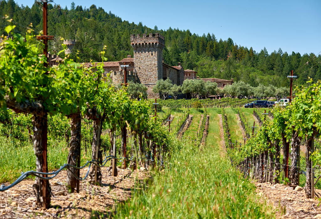 AdobeStock 226047878