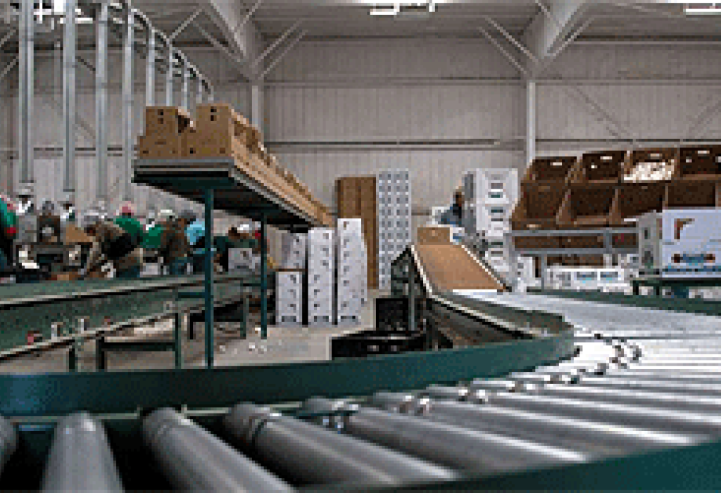 Adjusters International Harris Ranch Case Study