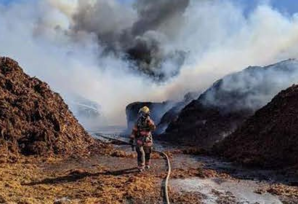 Swanson Bark Fire Case Study