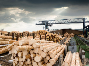 Adjusters International Lumber and Hardware Claim